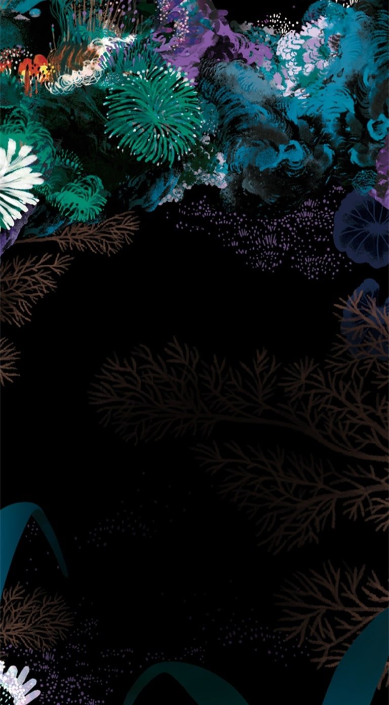 Stéphane Kiehl background pattern