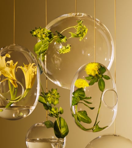 GOLDEN BOTANICAL EXTRACT