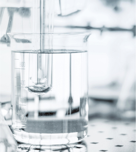 4MSK Complex and Black Tea Extract