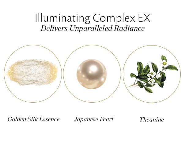 PDP Illuminating Complex PDP Illuminating Complex