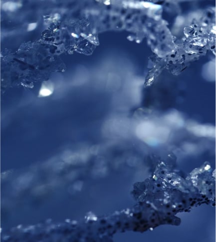 Youth-SUSTAINING PROTEIN