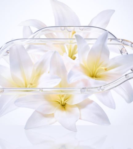 Radiant LILY CONCENTRATE