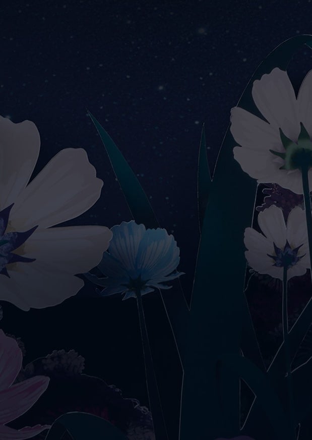 Effortless Look background