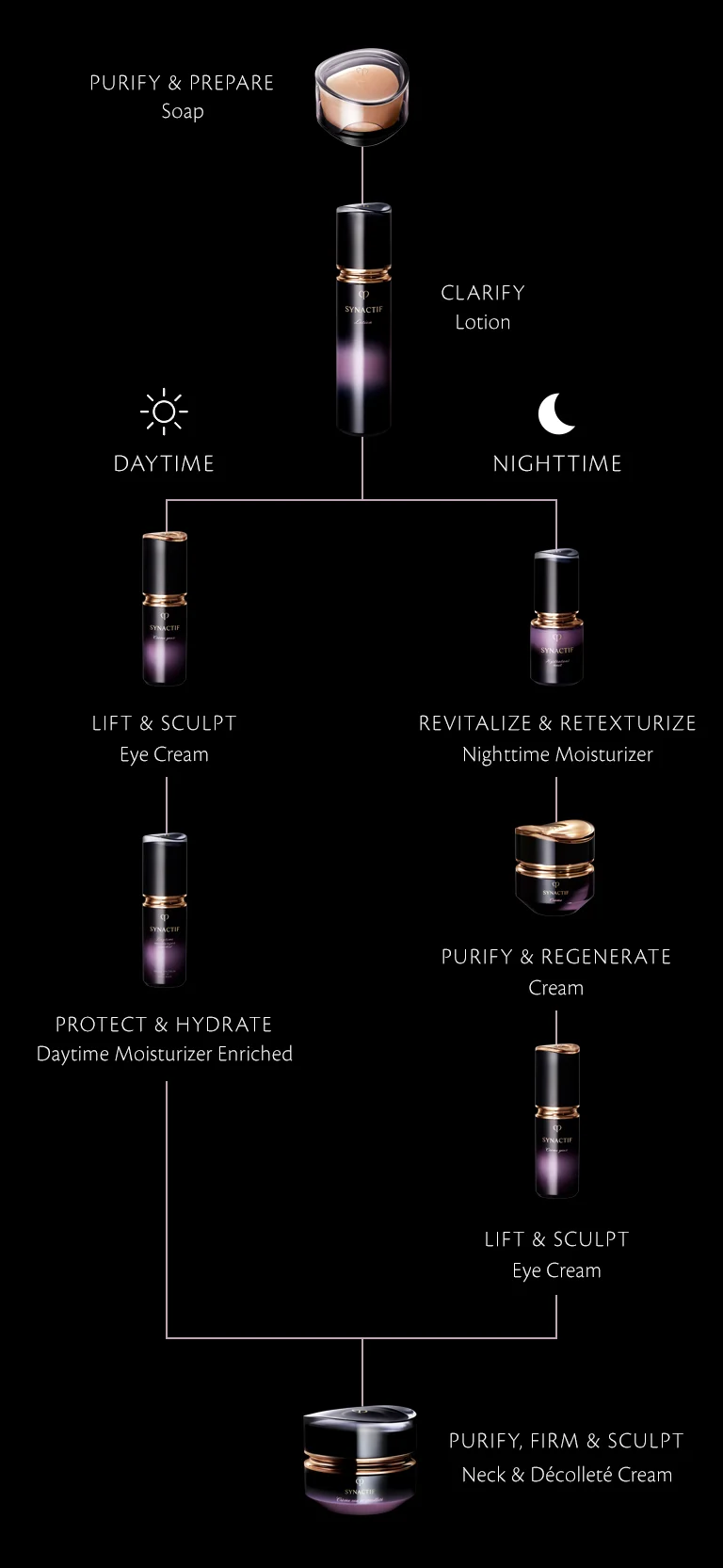 Synactif Regimen Synactif Regimen