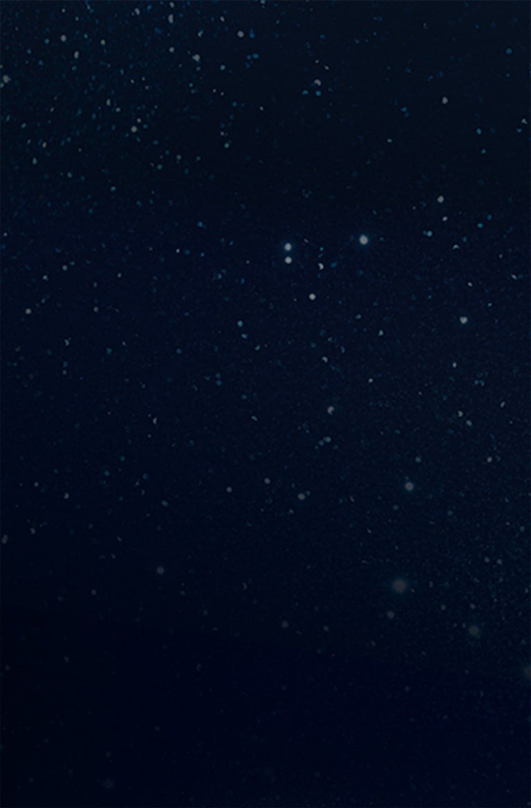 Holiday Exclusive Gift Collections