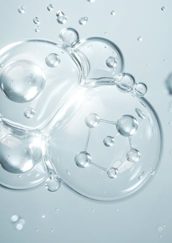 Ceramides and Fatty Acids