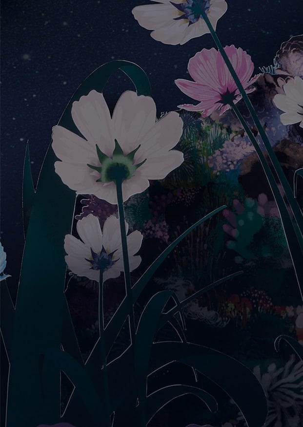 Amplified Look background